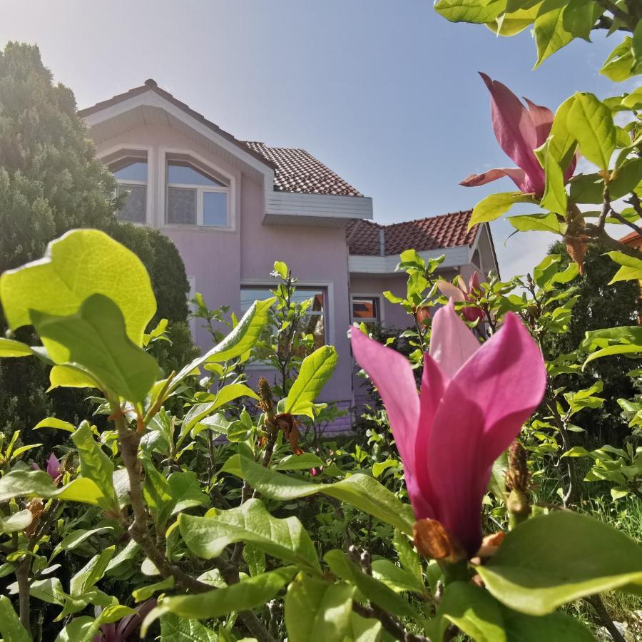 Vila Angela Felix Hotel เซนมาร์ติน ภายนอก รูปภาพ
